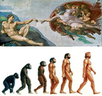 Creation Or Evolution
